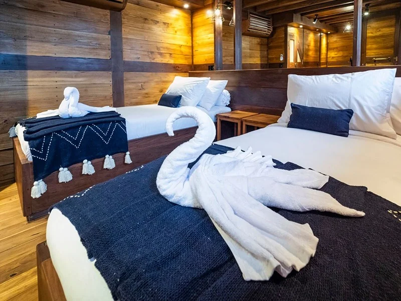 Deluxe Convertible Cabin - Image 1